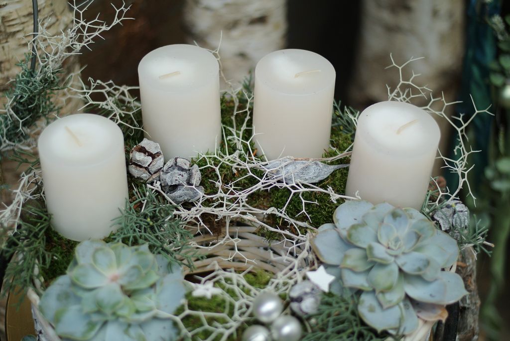 Vier weiße Adventskerzen auf einem dekorativen Adventskranz mit Moos, Sukkulenten und weißen Zweigen.