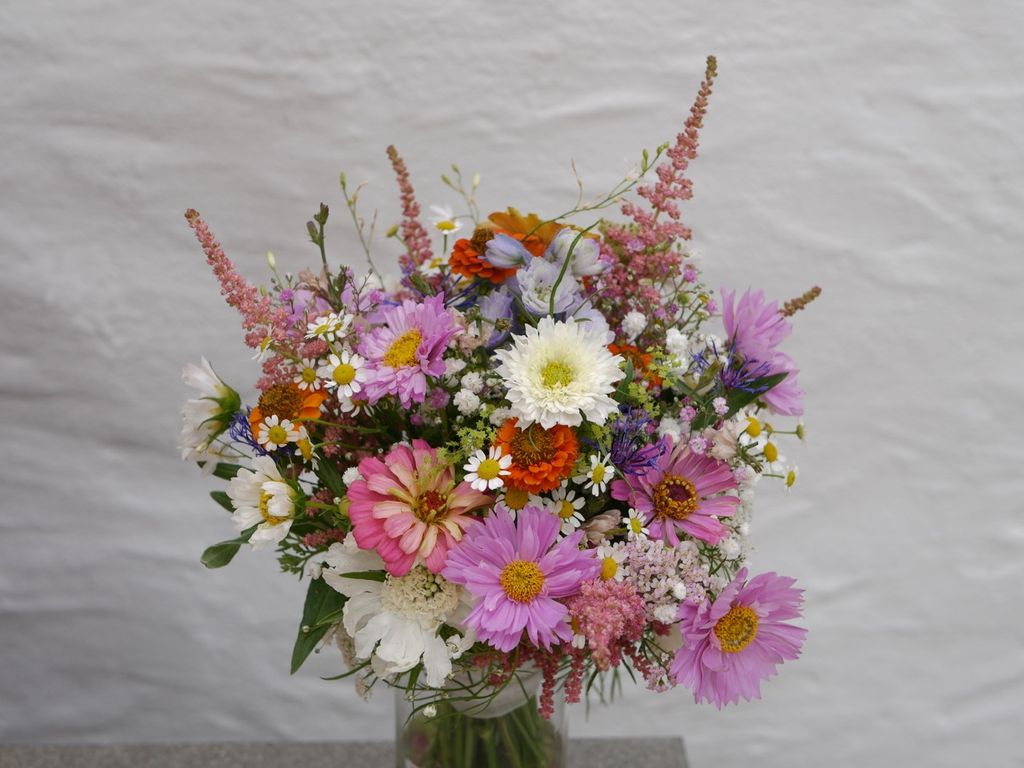 Bunter Blumenstrauß mit rosa, weißen, orangefarbenen und blauen Blumen sowie kleinen Kamillenblüten vor einer weißen Wand.