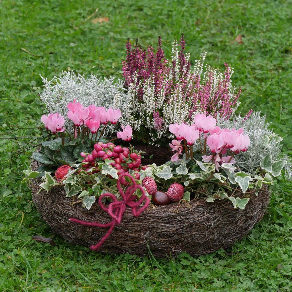 Ein dekoratives, rundes Pflanzgefäß aus getrockneten Zweigen steht auf einer grünen Wiese und ist mit verschiedenen Pflanzen und Blumen in rosa, weiß und rot dekoriert.