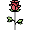 Icon Rose