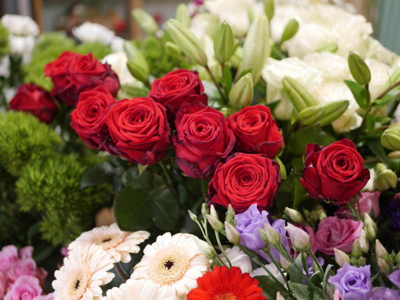rote Rosen uns andere Blumen